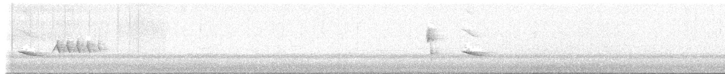 טואי אדום-עין - ML617492717