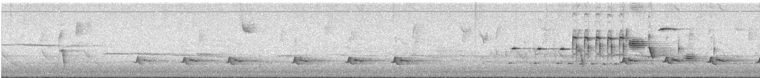 American Robin - ML617493225