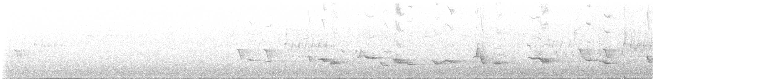 Піранга пломениста - ML617493230