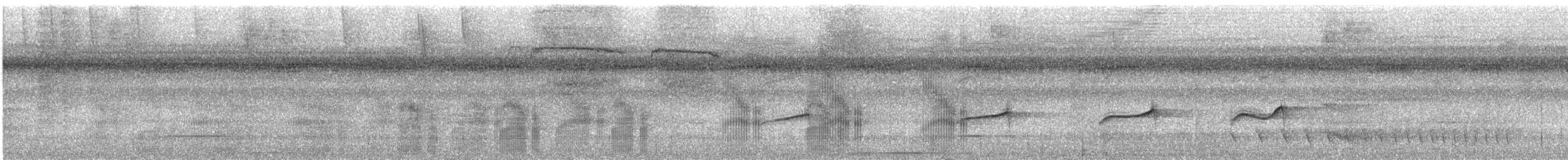 Black-tailed Tityra (Western) - ML617493777