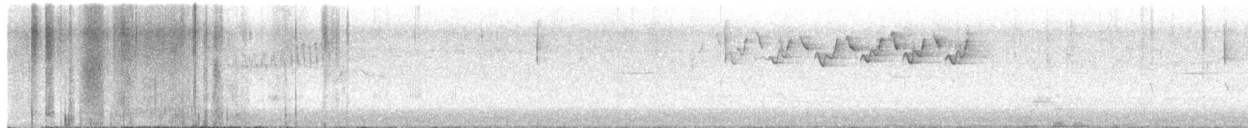 lesňáček černobílý - ML617497155