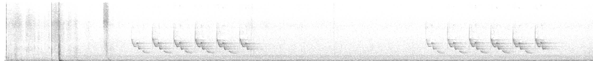 Поплітник каролінський - ML617498088