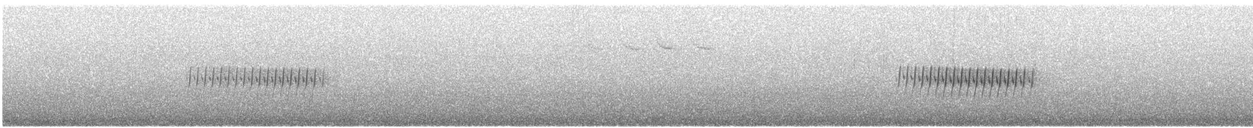Юнко сірий [група oreganus] - ML617499167