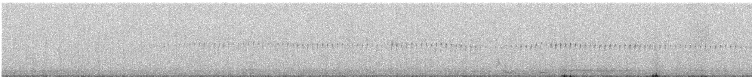 American Woodcock - ML617499872