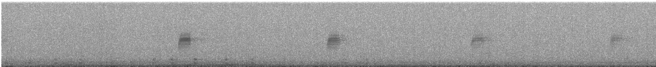 American Woodcock - ML617500256