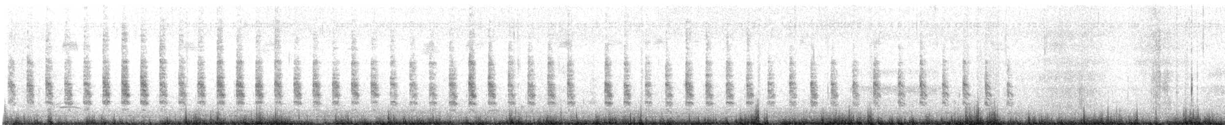 spartinarikse - ML617502448