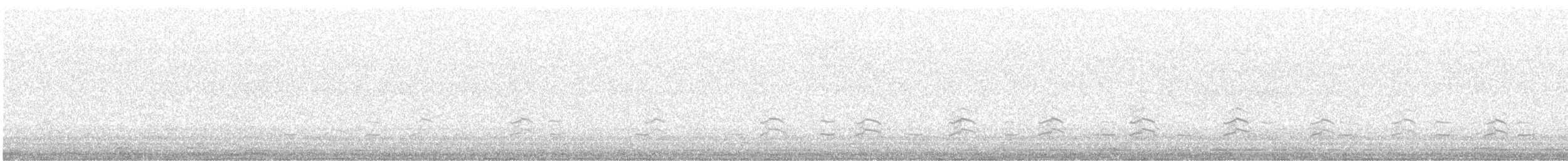 Black-winged Stilt - ML617510787