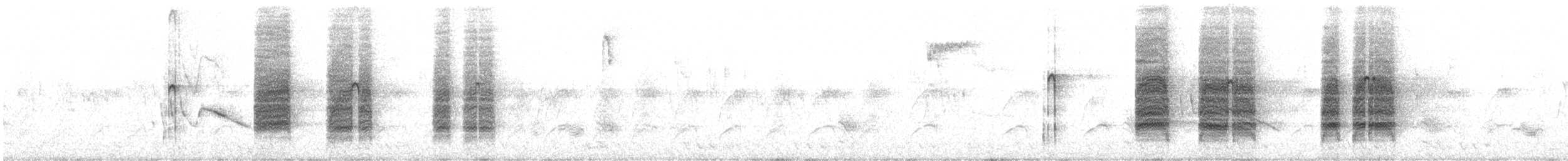 halsbåndfrankolin - ML617511201