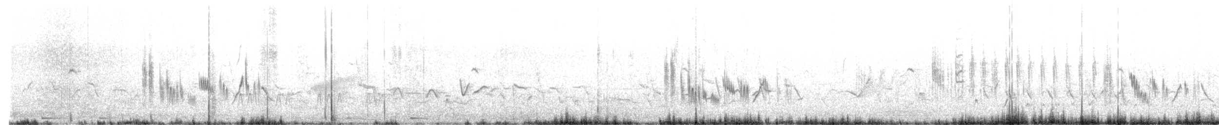 Batılı Kara Kulaklı Kuyrukkakan - ML617514041