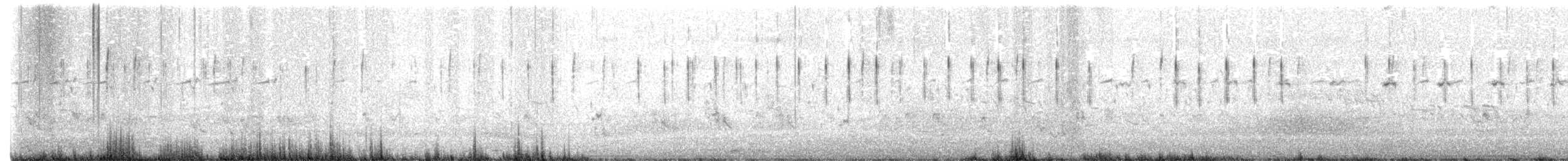 Zitting Cisticola (Double Zitting) - ML617514299