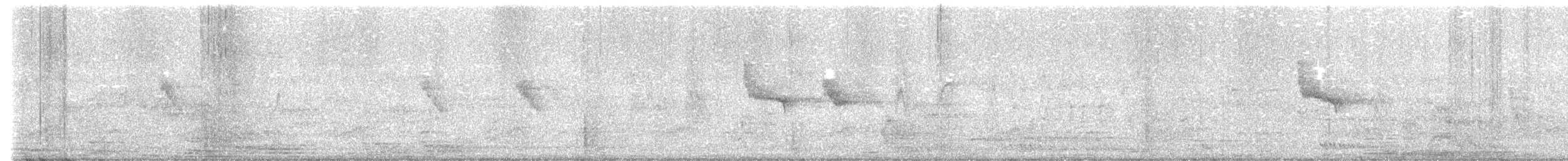 Swinhoe's White-eye - ML617514813