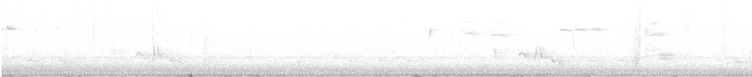 White-eyed Vireo - ML617515943