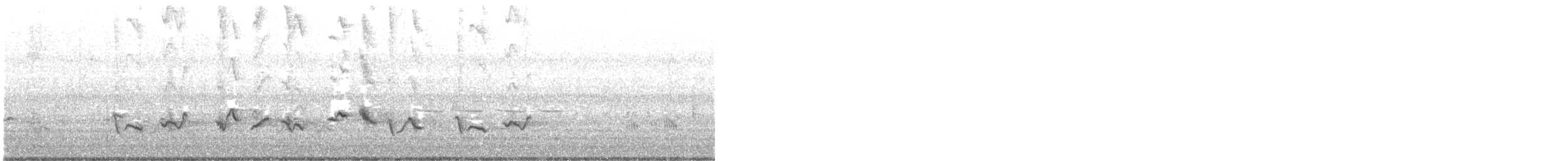 Piranga vermillon - ML617517186