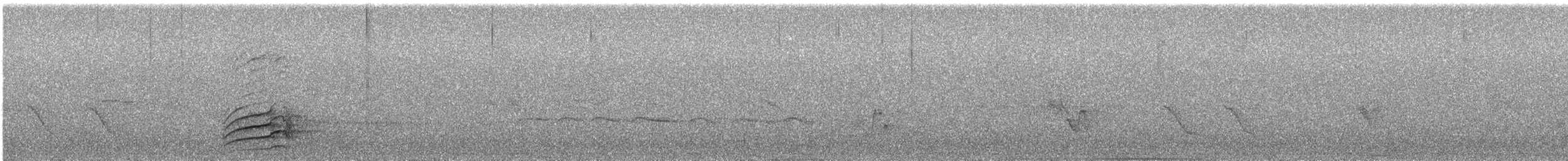 Гіла чорновола [група formicivorus] - ML617517439
