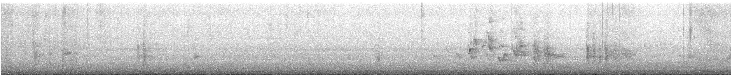 Oriole des vergers - ML617517572