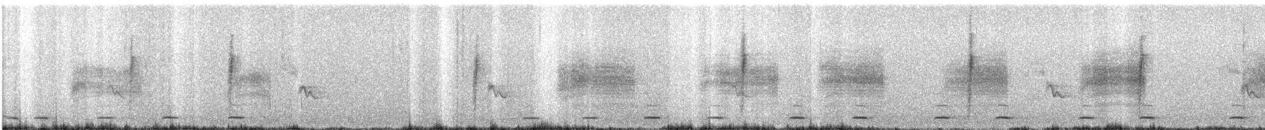 Сичик-горобець гірський (підвид gnoma) - ML617517652