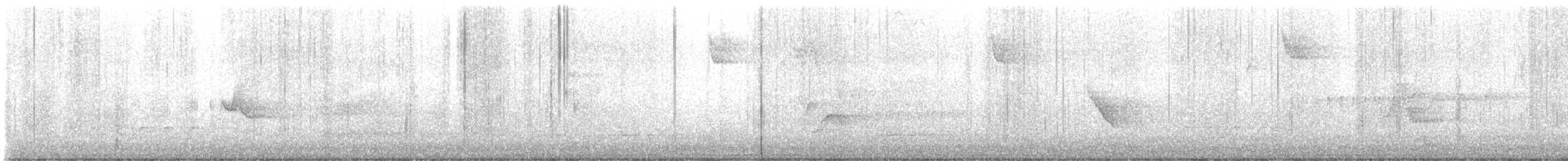 Blue-headed Vireo - ML617519632