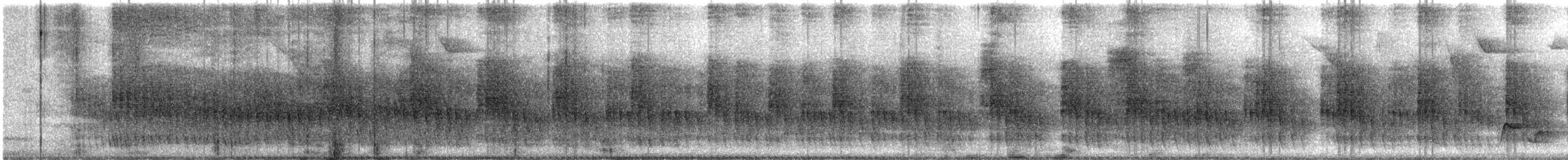 Synallaxe terne (obidensis) - ML617520940