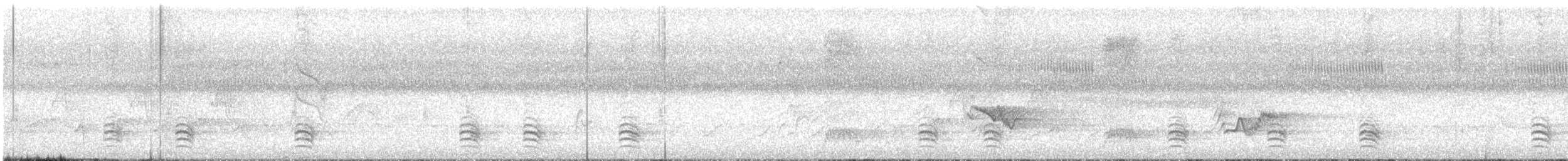Weißbrustkleiber - ML617521680