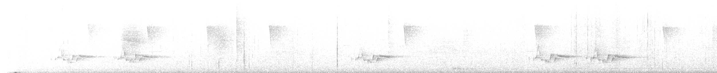 Белобрюхий крапивник - ML617522268