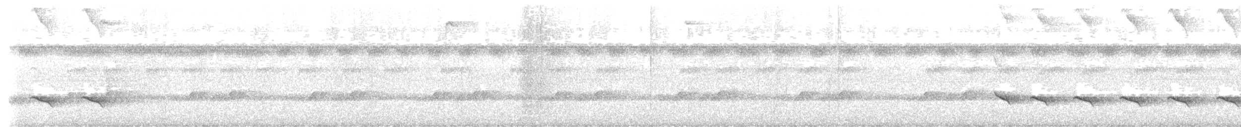 svartkronemaurfugl - ML617522283