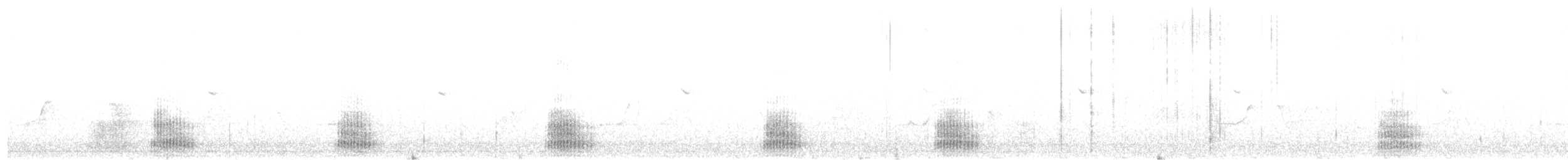 赤頸鴨 - ML617522571