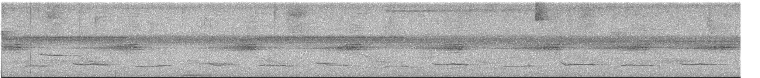 White-necked Thrush - ML617523223