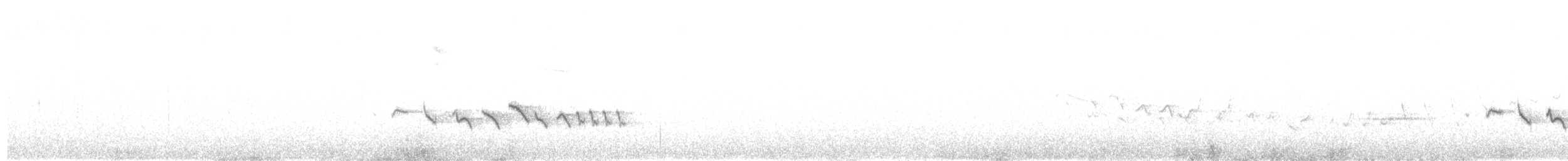 Хөх зоот гургалдай - ML617523372