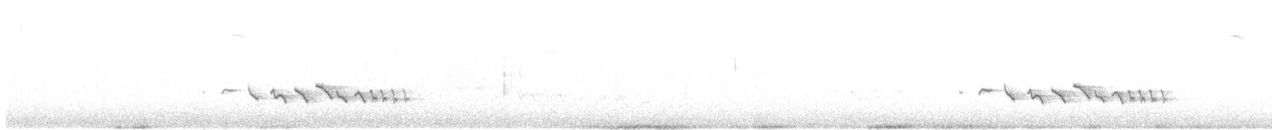 Синехвостка - ML617523373