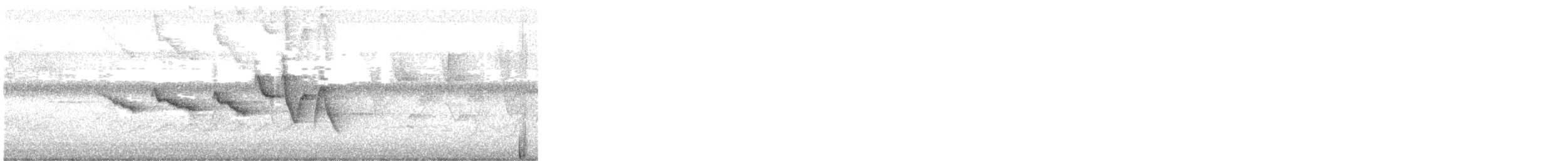 Paruline de Swainson - ML617525671