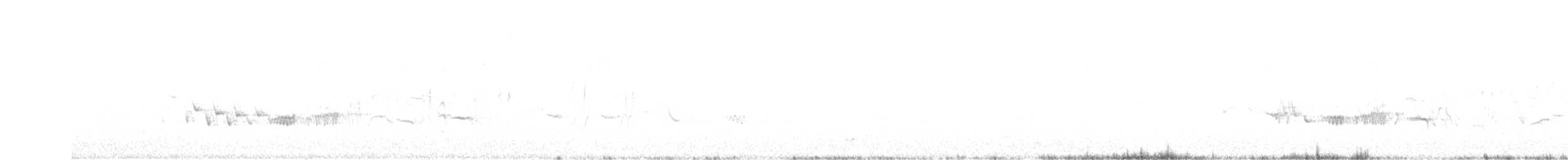 קיכלי לבן-גבה - ML617529819