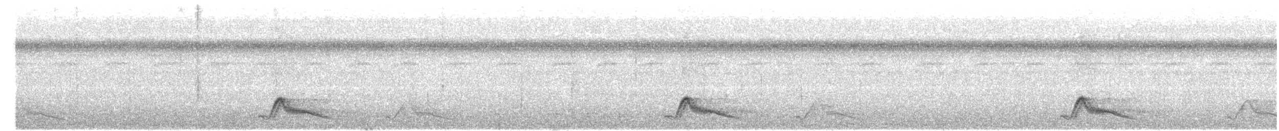 Pauraquenachtschwalbe - ML617530225