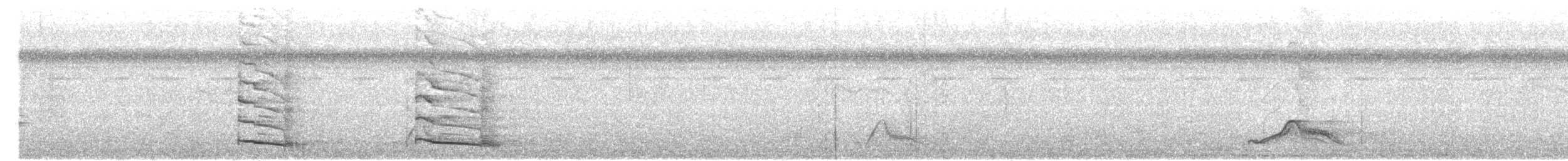 Pauraquenachtschwalbe - ML617530226