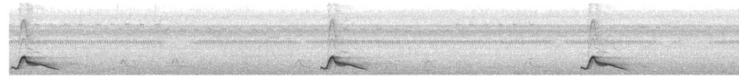 Pauraquenachtschwalbe - ML617530227