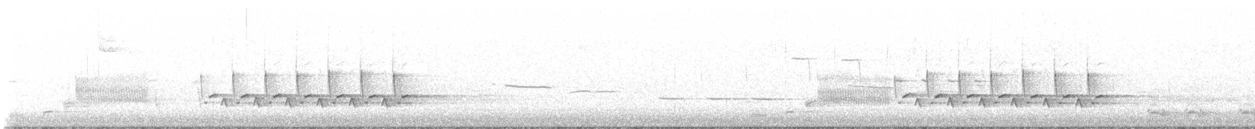 Каролинский крапивник - ML617531297