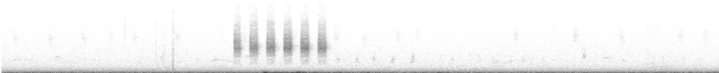 Black-tailed Gnatcatcher - ML617532500