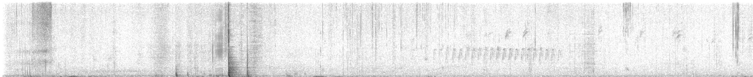 Geniş Gagalı Kolibri - ML617532933