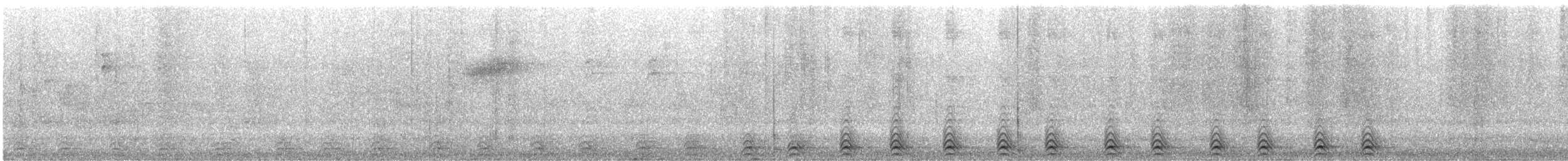 Slaty-tailed Trogon - ML617533973
