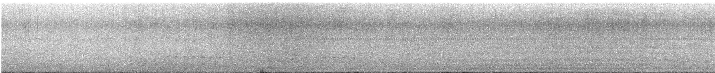 Whimbrel (Hudsonian) - ML617535883