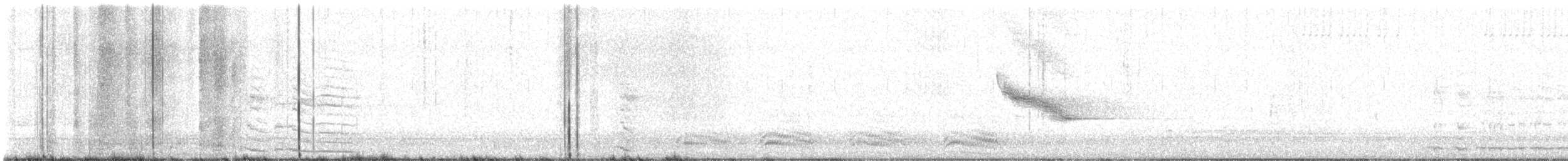 Gallinule d'Amérique - ML617536216