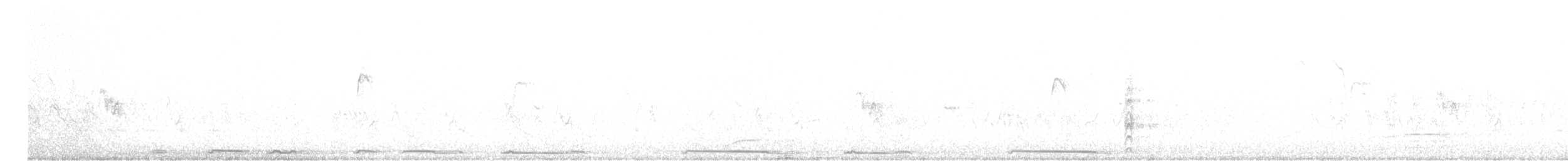 Tourterelle à ailes blanches - ML617536262