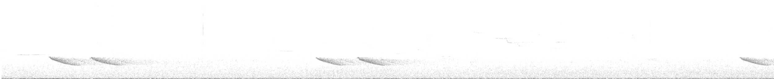 Ak Tepeli Baştankara - ML617536506