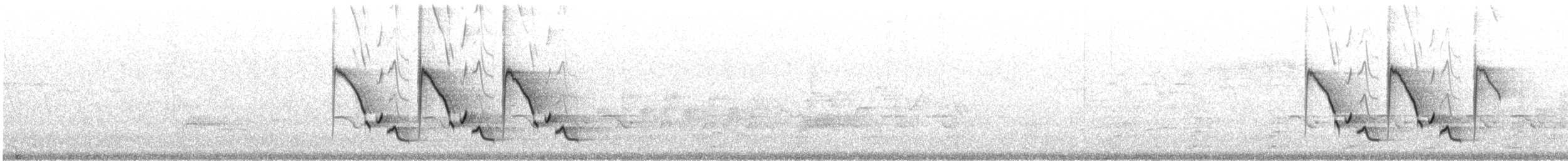 Каролинский крапивник - ML617538641