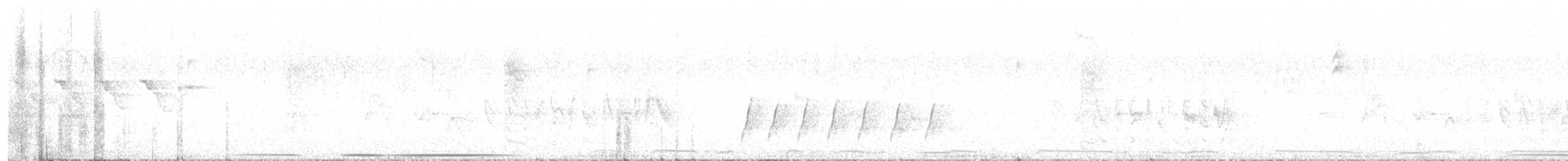 White-tipped Dove - ML617540359