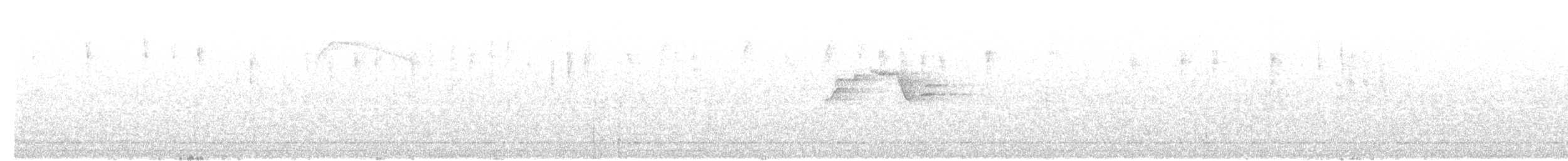 Speckled Warbler - ML617544147