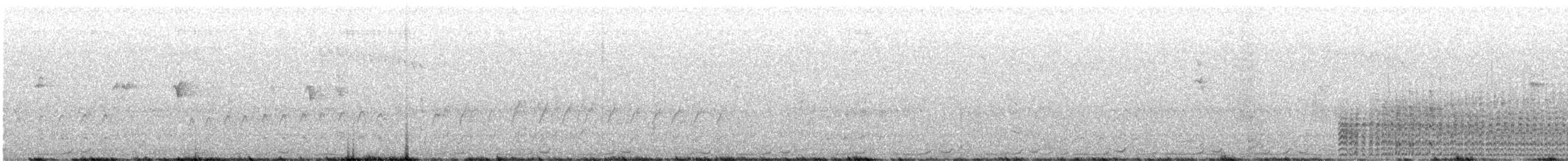 Spotless Crake - ML617544563