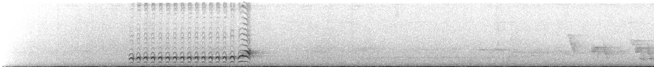 svartnakkemaurvarsler - ML617545098