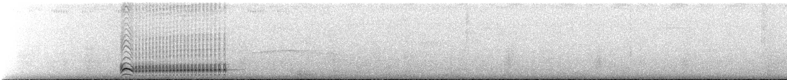 svartnakkemaurvarsler - ML617545099