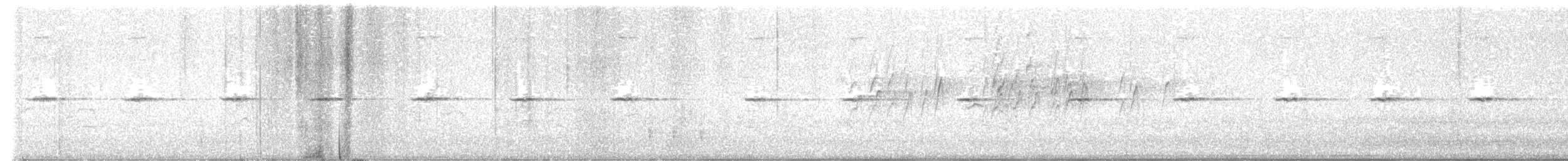 White-tailed Robin (White-tailed) - ML617545352