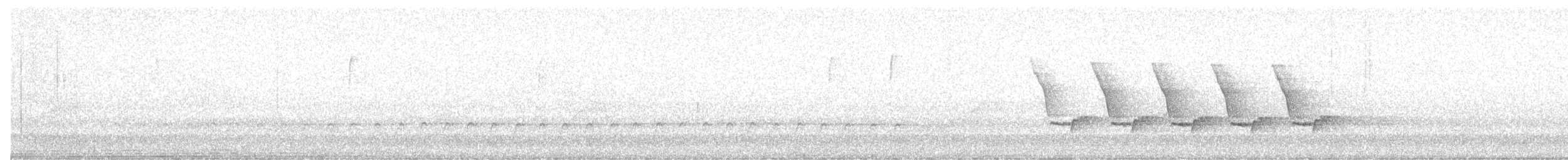 Поплітник каролінський - ML617545697